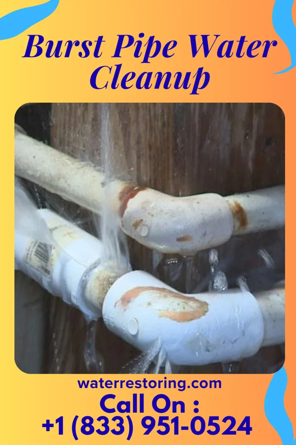 Burst Pipe Water Cleanup in Maryville, MO