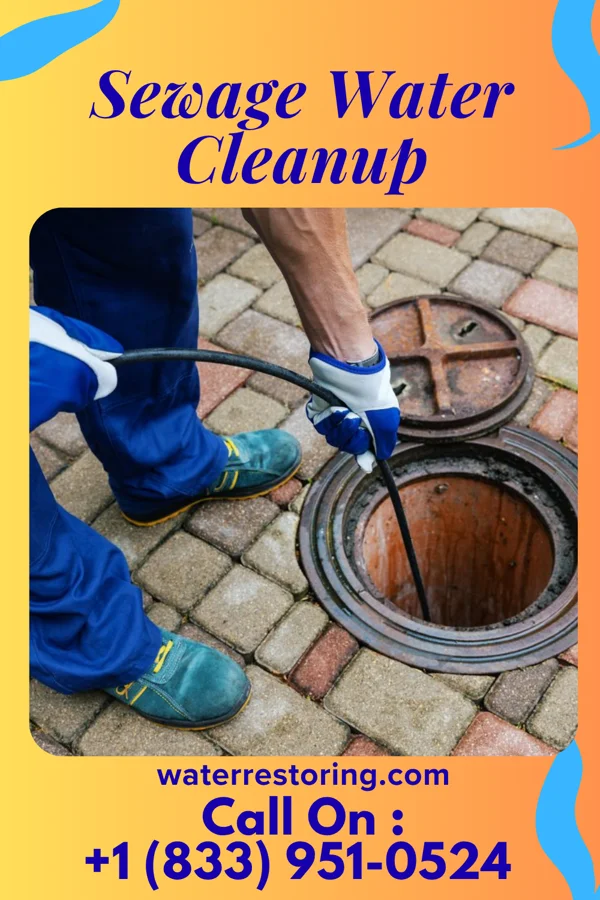 Sewage Water Cleanup in Maryville, MO